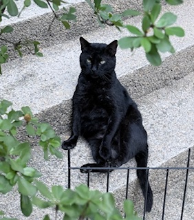 Sundar of the purujit1912 family