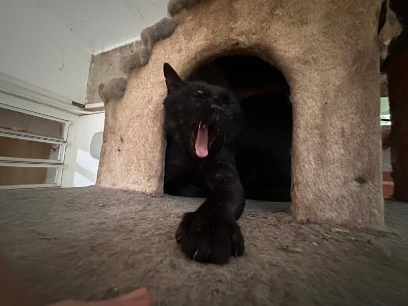 purujit1912 uploaded   1 year/s ago