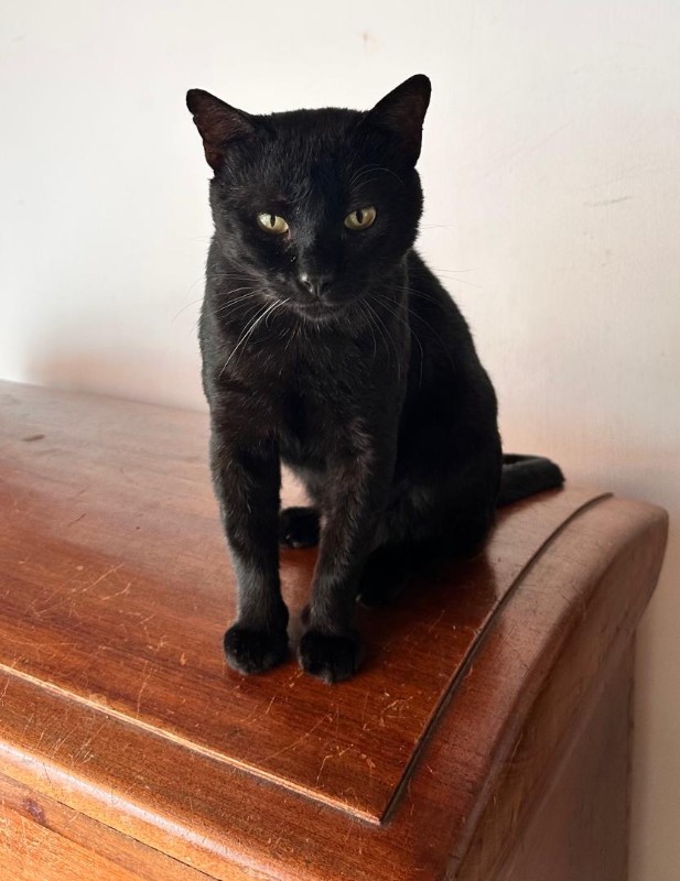 purujit1912 uploaded   326  day/s  ago