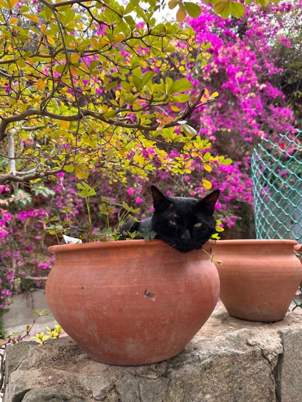 purujit1912 uploaded   1 year/s ago