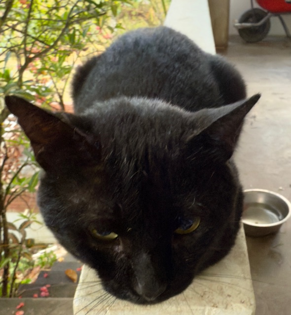 purujit1912 uploaded   1 year/s ago