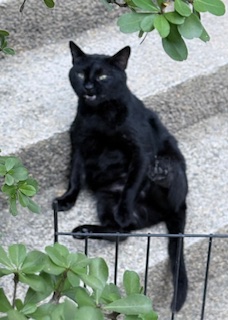 Sundar of the purujit1912 family