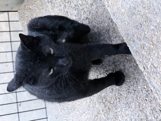 Sundar of the purujit1912 family