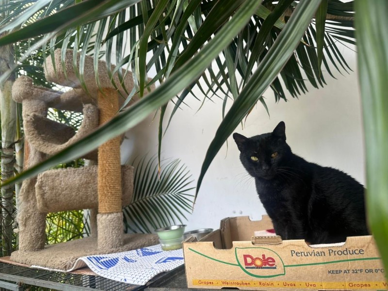 Sundar of the purujit1912 family