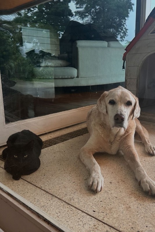 purujit1912 uploaded   293  day/s  ago