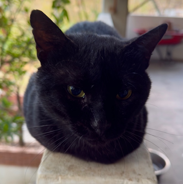 purujit1912 uploaded   1 year/s ago