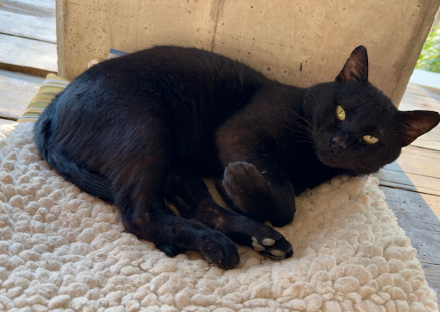 purujit1912 uploaded   1 year/s ago