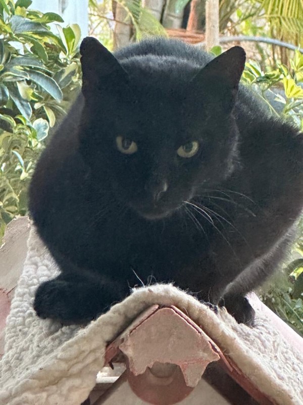 Sundar of the purujit1912 family