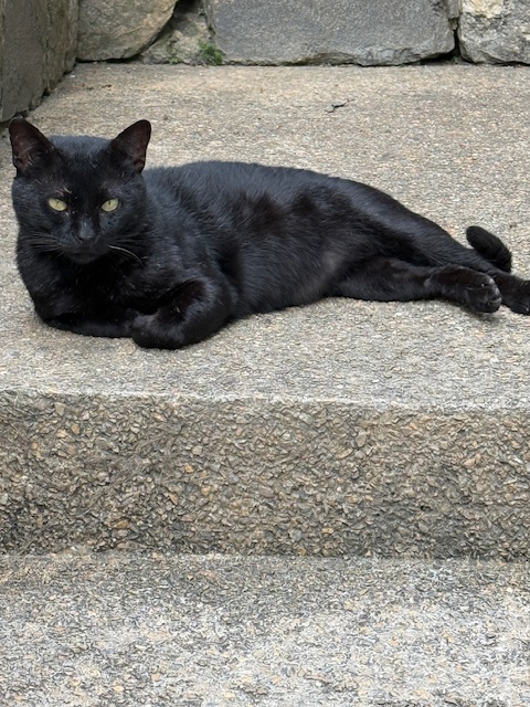 Sundar of the purujit1912 family