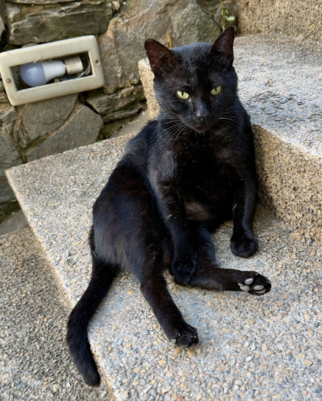 Sundar of the purujit1912 family