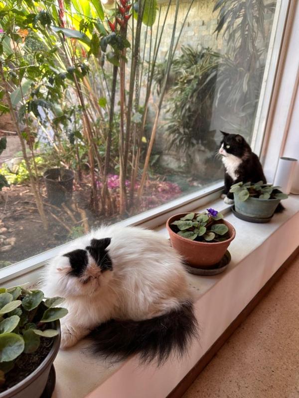 purujit1912 uploaded   1 year/s ago