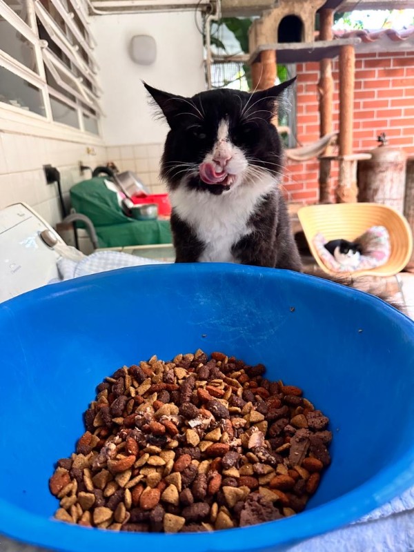 purujit1912 uploaded   299  day/s  ago