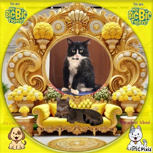 Silvestre of the purujit1912 family