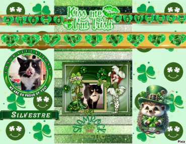 Silvestre of the purujit1912 family