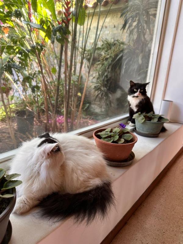 purujit1912 uploaded   1 year/s ago