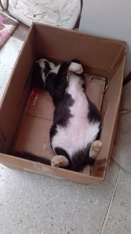 purujit1912 uploaded   354  day/s  ago