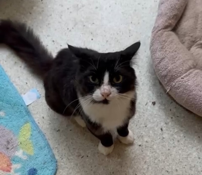 purujit1912 uploaded   326  day/s  ago