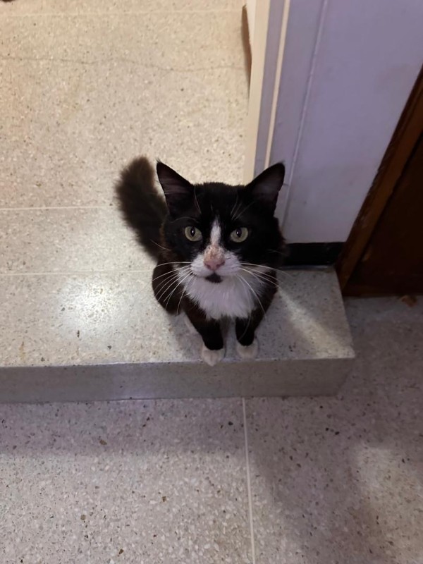 purujit1912 uploaded   1 year/s ago