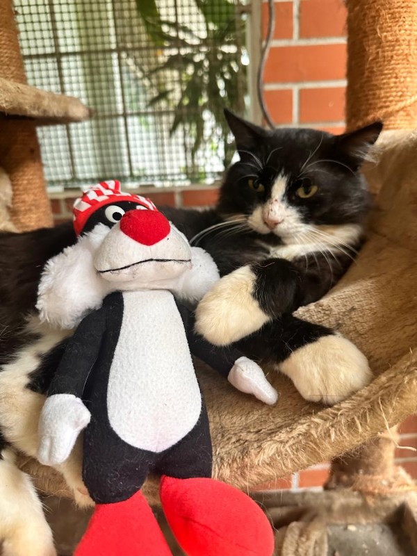 purujit1912 uploaded   318  day/s  ago