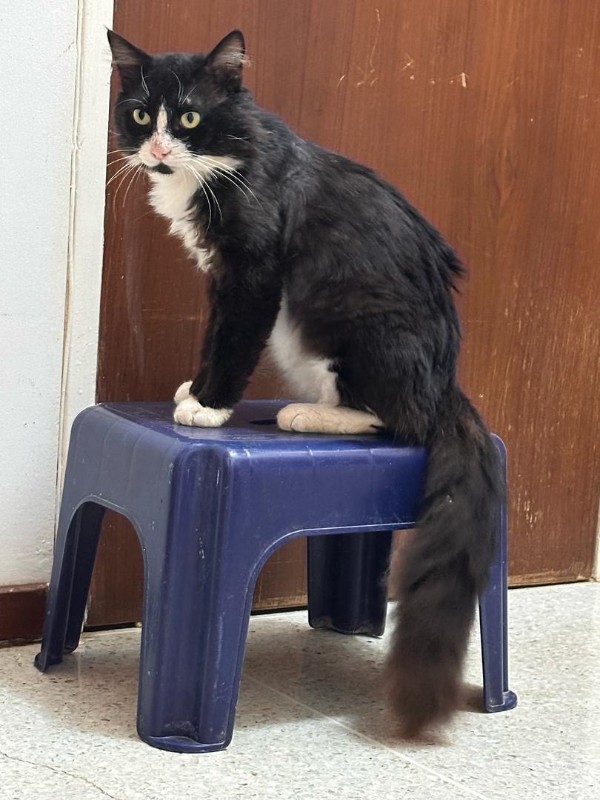 purujit1912 uploaded   1 year/s ago