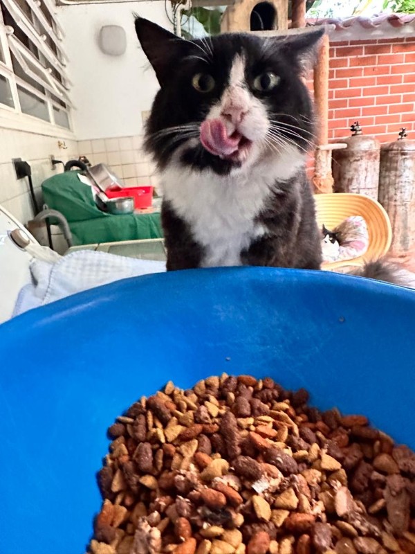 purujit1912 uploaded   223  day/s  ago