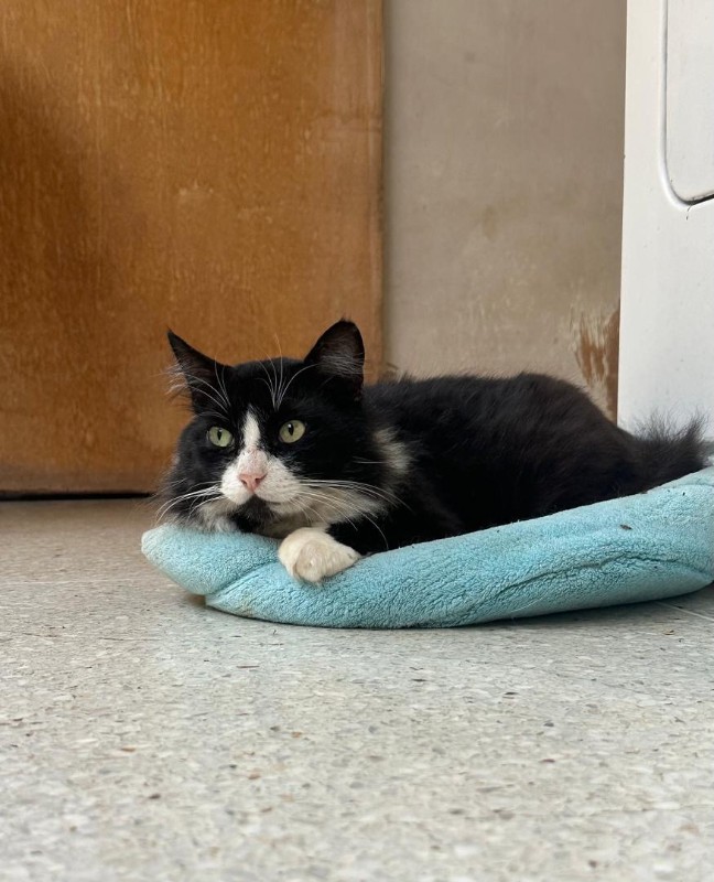 purujit1912 uploaded   99  day/s  ago