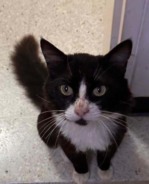 purujit1912 uploaded   1 year/s ago