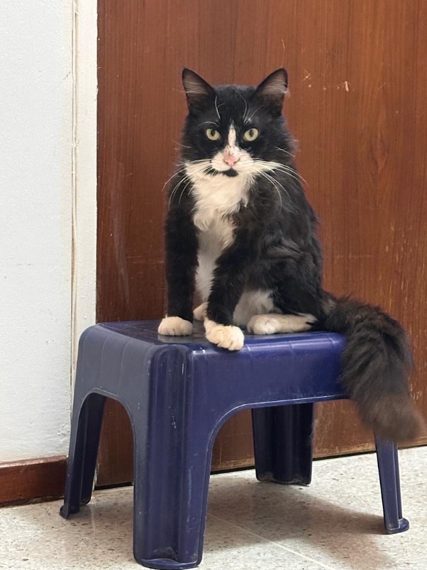 purujit1912 uploaded   1 year/s ago