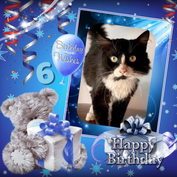 purujit1912 uploaded   5  day/s  ago