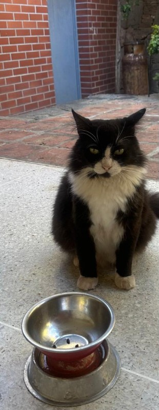 purujit1912 uploaded   99  day/s  ago