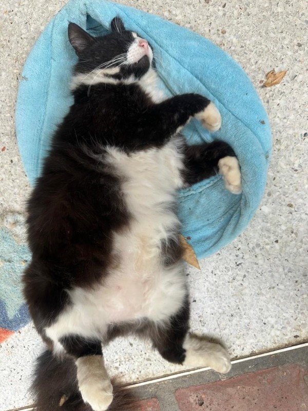 purujit1912 uploaded   2  day/s  ago