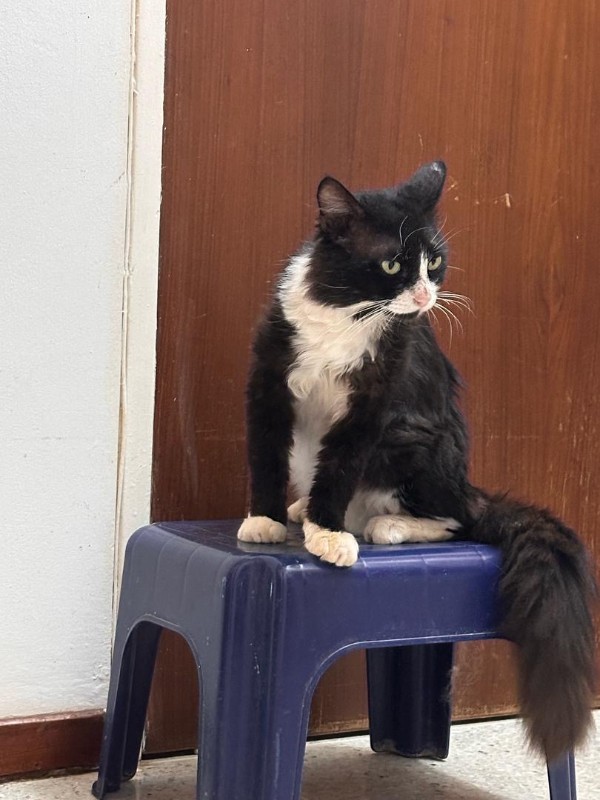 purujit1912 uploaded   1 year/s ago