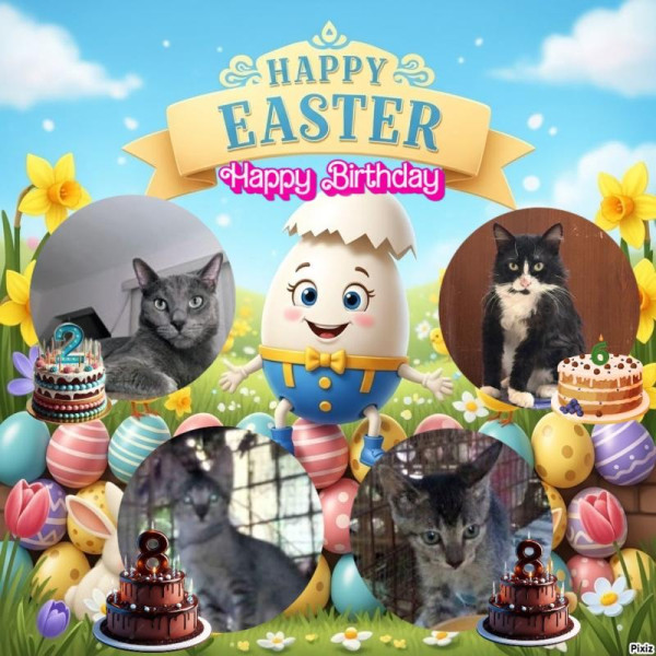 purujit1912 uploaded   5  day/s  ago