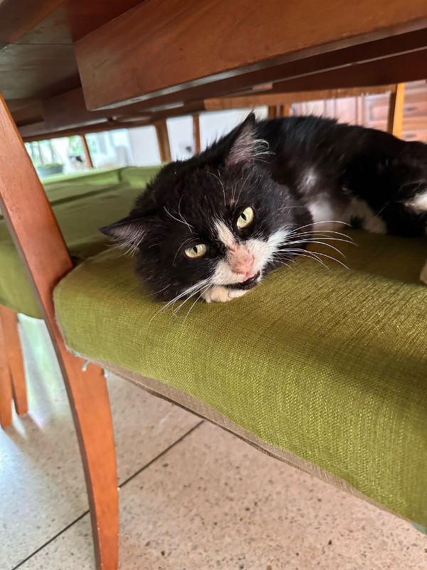 purujit1912 uploaded   1 year/s ago