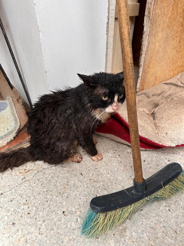 purujit1912 uploaded   1 year/s ago