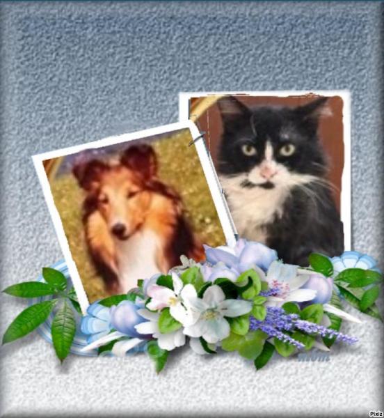 Silvestre of the purujit1912 family