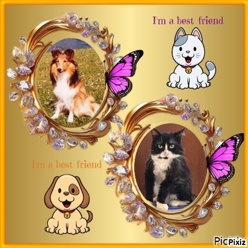 Silvestre of the purujit1912 family