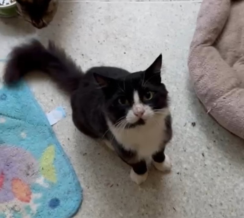 purujit1912 uploaded   326  day/s  ago