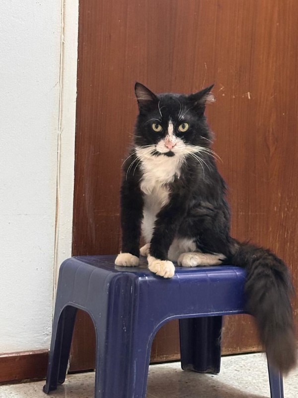 purujit1912 uploaded   1 year/s ago