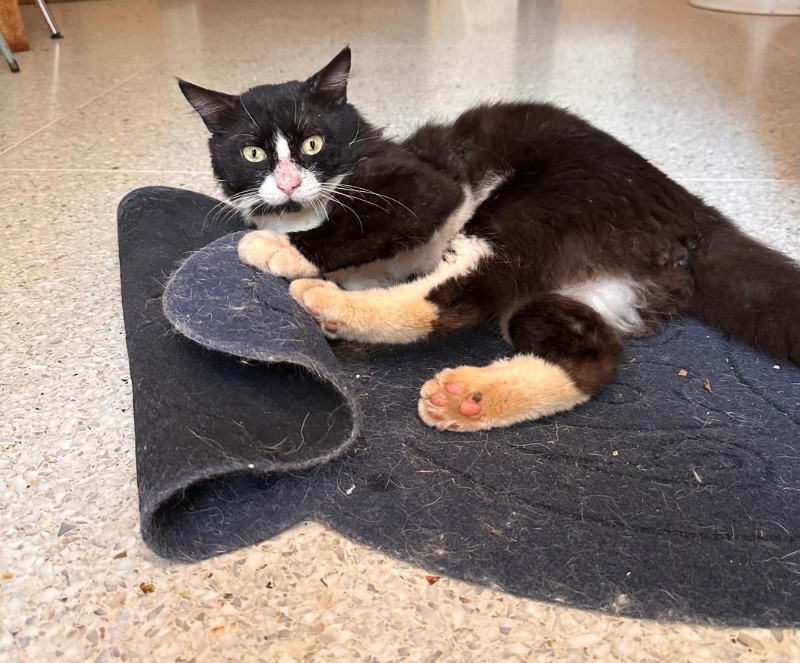 purujit1912 uploaded   354  day/s  ago