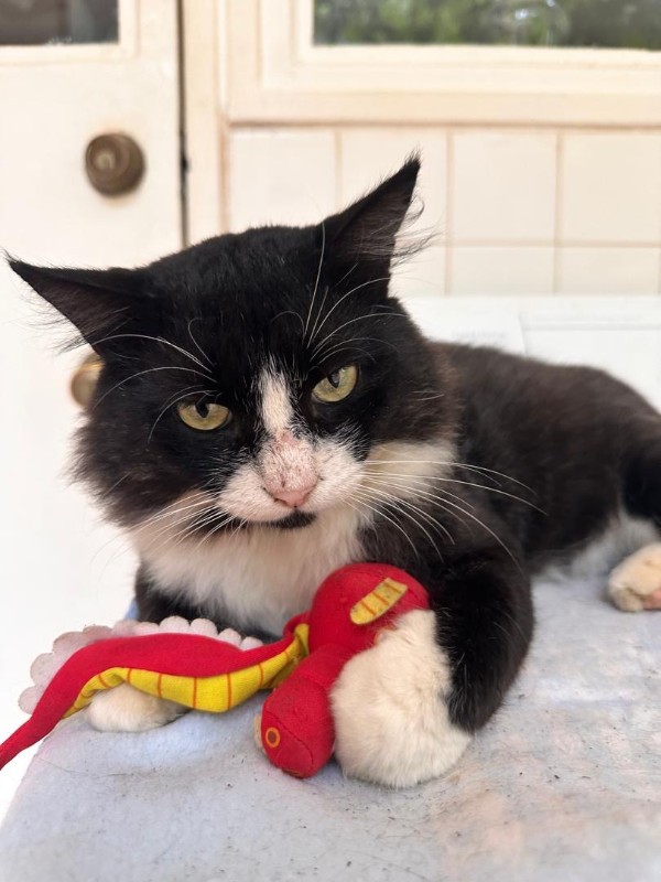 purujit1912 uploaded   305  day/s  ago