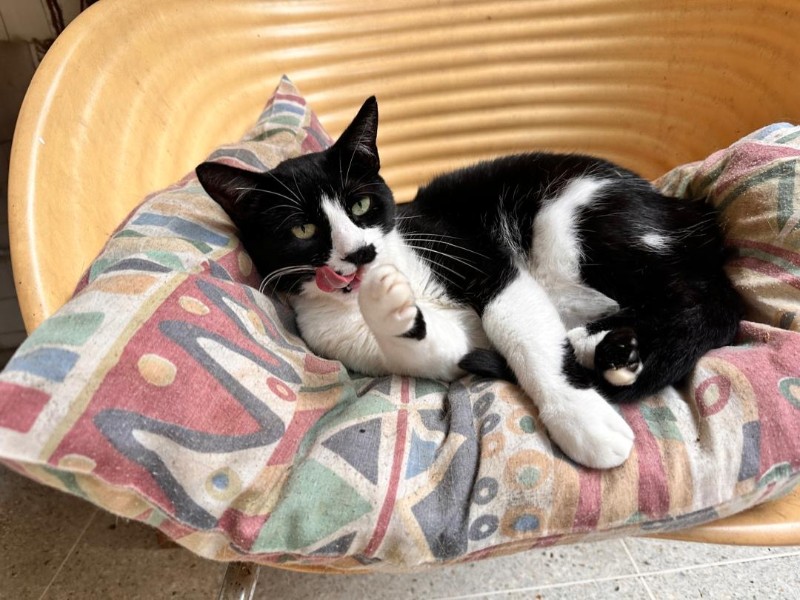 purujit1912 uploaded   305  day/s  ago