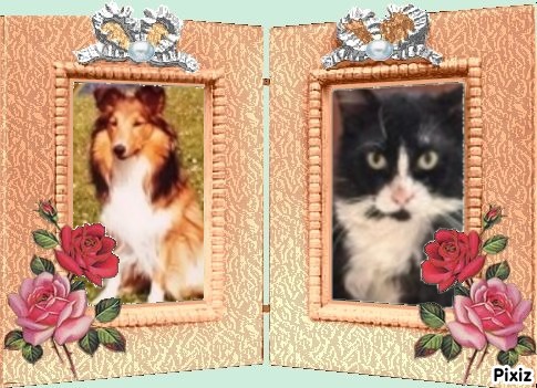 Silvestre of the purujit1912 family