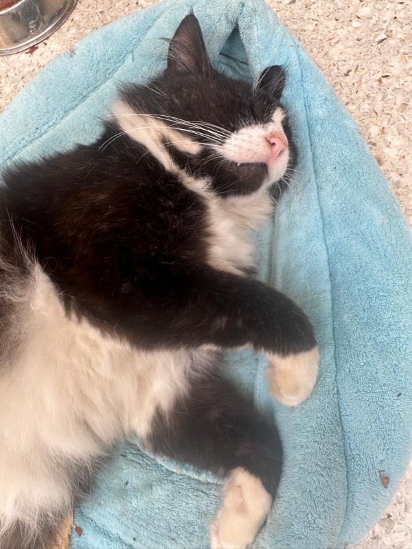 purujit1912 uploaded   2  day/s  ago