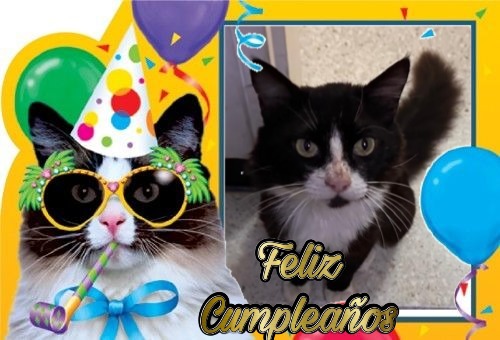 purujit1912 uploaded   5  day/s  ago