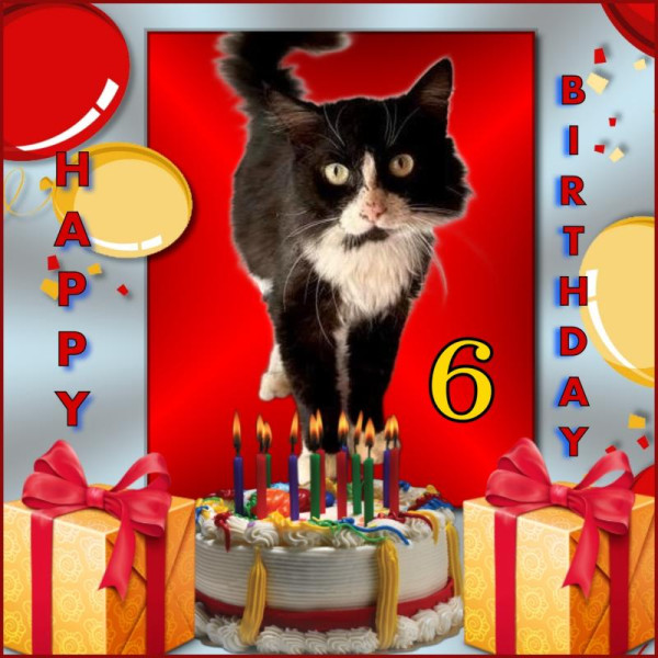 purujit1912 uploaded   5  day/s  ago