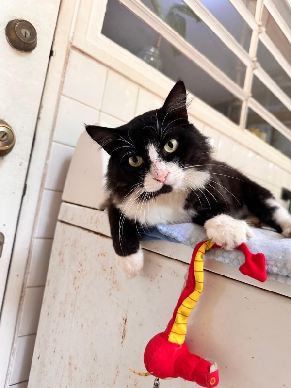 purujit1912 uploaded   305  day/s  ago