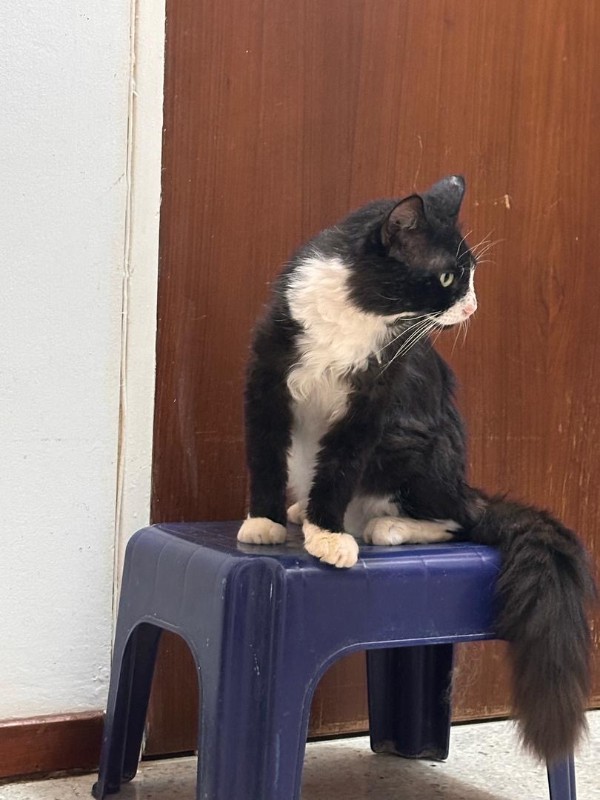 purujit1912 uploaded   1 year/s ago