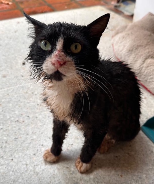 purujit1912 uploaded   1 year/s ago