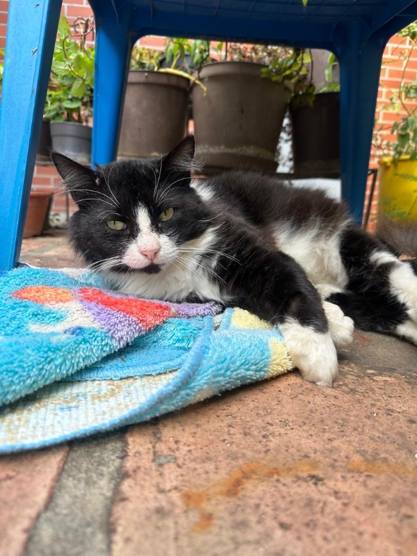 purujit1912 uploaded   78  day/s  ago